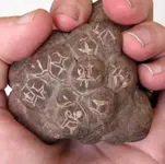 rocks 017.webp