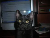 DSCN4287.webp