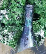 BlackGlass-RainbowBottleNeck-2.webp