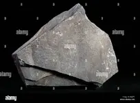 Shale .webp