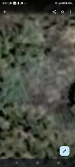 skull treasue.webp