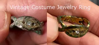 costume ring gimp.webp