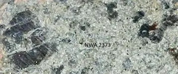NWA 2373.webp
