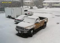 Snowing.webp