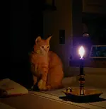 20250330_053322.webp