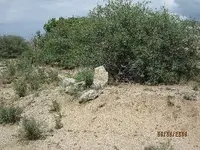 trail1.webp
