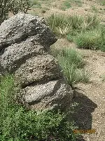trail2.webp