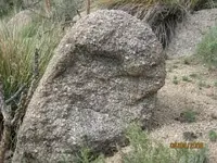 trail4.webp