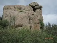 trail8.webp