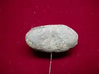DSCN1431.webp