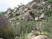 trail11.webp