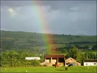 rainbow_benson_july08_470x353.webp