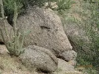 trail13.webp