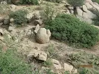 trail15.webp trail15.webp