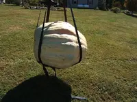 DSCF2899.webp