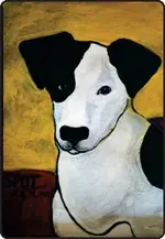 gallery_dog_spot.webp