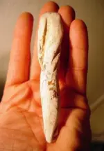 bonechisel6.webp