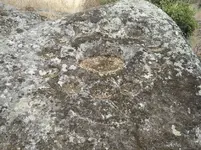 DSCN0318.webp