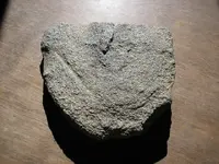 finds 038.webp