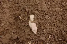Blanton Site (38).webp