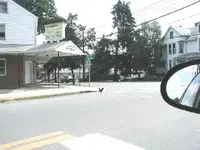 !!2507364696_4abc79ce02_o.webp