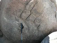 Hand_Q.webp
