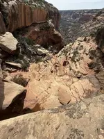 488271608_24107396152182701_7125394074661444765_n.webp