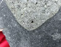 IMG_20250403_190553972.webp