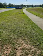 20250404_162519.webp