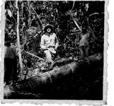 DickInJungle.webp