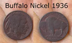 Buffalo gimp.webp