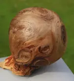 Burl 44.webp