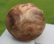 Burl 55.webp