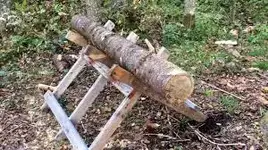 Sawbuck.webp