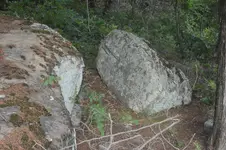 1745534605783.webp