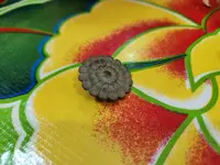 17458754034676218059349297210833.webp