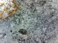 WIN_20250120_23_25_44_Pro.webp