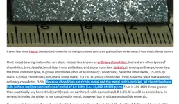 Randy.webp