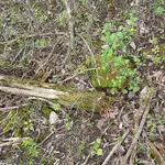 20250505_125651.webp