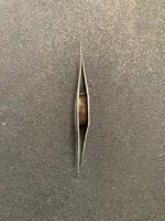 Weavers Needle side view.webp