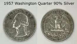 Washinton Gimp.webp