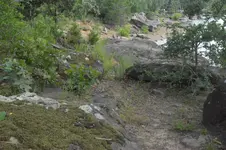 1747399078118.webp