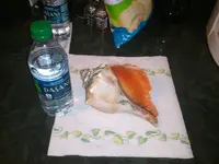 2013-01-12 16.15.49.webp