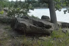 1747682154258.webp