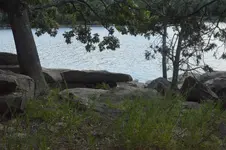 1747682314945.webp