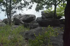 1747688415295.webp