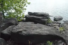 1747691531402.webp