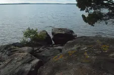 1747693580114.webp