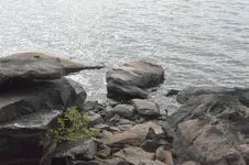 1747755909021.webp