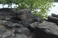 1747756672732.webp